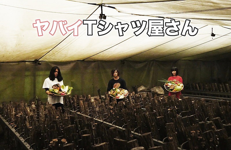 ヤバイTシャツ屋さん、3rdアルバム『Tank-top Festival in JAPAN』リリース決定 