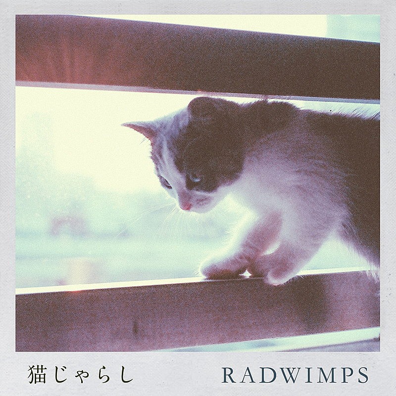 RADWIMPS「【先ヨミ・デジタル】RADWIMPS「猫じゃらし」が1.7万DLでDLソング首位独走中」1枚目/1