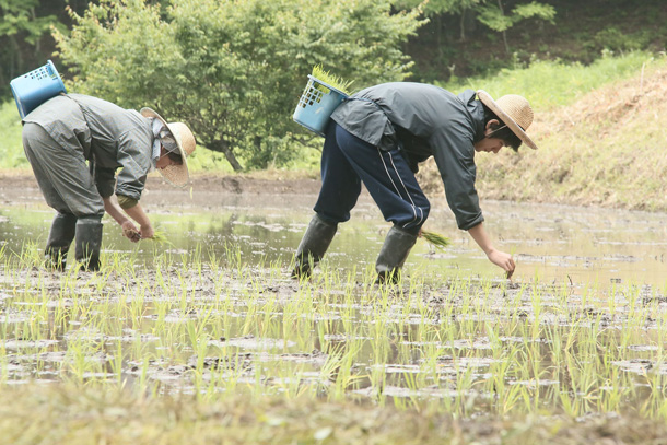 Salyu「Salyu×小林武史 震災後の福島が舞台の映画『家路』主題歌決定」1枚目/2