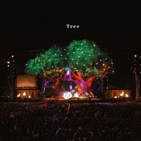 SEKAI NO OWARI「SEKAI NO OWARI『Tree』から紐解く　国民的バンドに成長しつつあるポップ・バンドの音楽的な成り立ちと魅力とは？」1枚目/1