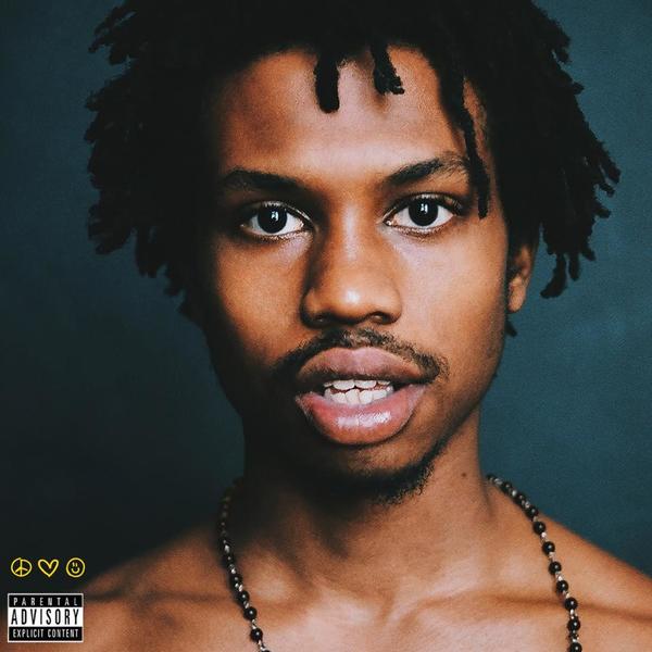 ロウリー「Album Review：Raury『All We Need』 若くして明確なサウンドヴィジョンを持つ新たなスター候補のデビュー作」1枚目/1