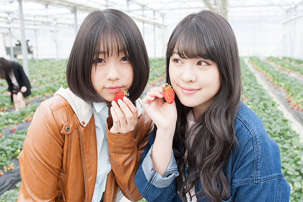 Ｃｈｅｅｋｙ　Ｐａｒａｄｅ「【Cheeky Parade チキパの遠足～いちご狩り編～】島崎莉乃、山本真凜
」12枚目/34