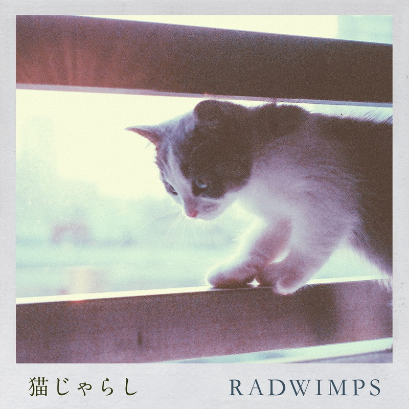 ビルボード】RADWIMPS「猫じゃらし」がDLソング首位獲得、Official髭男