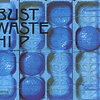 ザ・ブルーハーツ「 ＢＵＳＴ　ＷＡＳＴＥ　ＨＩＰ」