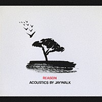 ＪＡＹＷＡＬＫ「 リーズン　ＡＣＯＵＳＴＩＣＳ　ＢＹ　ＪＡＹＷＡＬＫ」