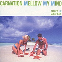 カーネーション「 Ｍｅｌｌｏｗ　Ｍｙ　Ｍｉｎｄ」