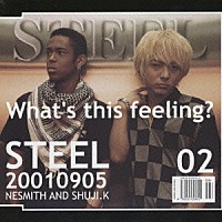 ＳＴＥＥＬ「 Ｗｈａｔ’ｓ　ｔｈｉｓ　ｆｅｅｌｉｎｇ？」