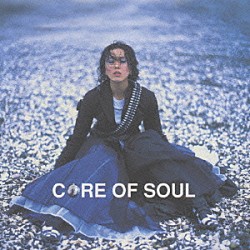 ＣＯＲＥ ＯＦ ＳＯＵＬ「ＯＮＥ ＬＯＶＥ，ＯＮＥ ＤＡＹ，ＯＮＥ ＬＩＦＥ！」 | TOCT-25888 | 4988006203501 |  Shopping | Billboard JAPAN