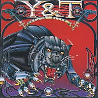 Ｙ＆Ｔ「 ブラック・タイガー」