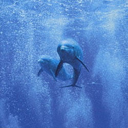 ＤＲＥＡＭ　ＤＯＬＰＨＩＮ ＮＯＲＩＫＯ「ザ・サン・オールウェイズ・シャインズ」