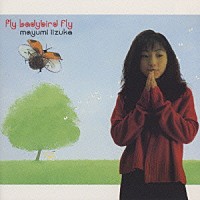 飯塚雅弓「 Ｆｌｙ　Ｌａｄｙｂｉｒｄ　ｆｌｙ」