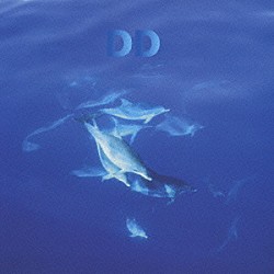 ＤＲＥＡＭ　ＤＯＬＰＨＩＮ「１２ＤＯＬＰＨＩＮＳ　ＬＥＡＶＥ　ＴＨＥ　ＰＬＡＮＥＴ／ＴＨＥ　ＢＥＳＴ　ＯＦ　ＤＲＥＡＭ　ＤＯＬＰＨＩＮ」
