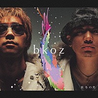 ｂｋｏｚ「 真冬の魚」