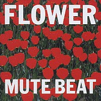 ＭＵＴＥ　ＢＥＡＴ「 ＦＬＯＷＥＲ」