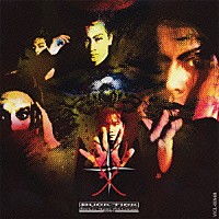 ＢＵＣＫ－ＴＩＣＫ「 ｄａｒｋｅｒ　ｔｈａｎ　ｄａｒｋｎｅｓｓ　ｓｔｙｌｅ　９３」