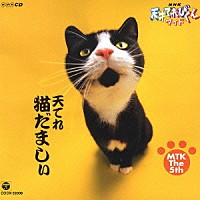 （オムニバス）「 ＮＨＫ　天才てれびくんワイド　天てれ猫だましぃ　ＭＴＫ　Ｔｈｅ　５ｔｈ」