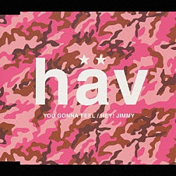 ＨＡＶ「ＹＯＵ　ＧＯＮＮＡ　ＦＥＥＬ」