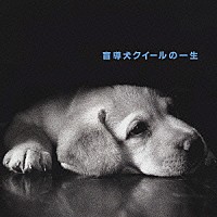 石田ゆり子「 「盲導犬クイールの一生」」