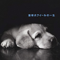 石田ゆり子「「盲導犬クイールの一生」」