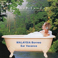 小久保隆「 イヤー・バカンス　マレーシア＜ボルネオ＞の森」