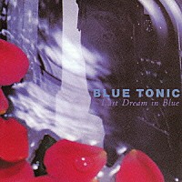 ＢＬＵＥ　ＴＯＮＩＣ「 ラスト　ドリーム　イン　ブルー」