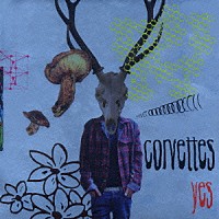 ｃｏｒｖｅｔｔｅｓ「 ｙｅｓ」