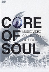 ＣＯＲＥ ＯＦ ＳＯＵＬ「ＯＮＥ ＬＯＶＥ，ＯＮＥ ＤＡＹ，ＯＮＥ ＬＩＦＥ！」 | TOCT-25888 | 4988006203501 |  Shopping | Billboard JAPAN