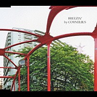 ＣＯＲＮＥＬＩＵＳ「 ＢＲＥＥＺＩＮ’」