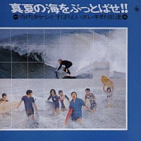 寺内タケシとブルージーンズ「 真夏の海をぶっとばせ！！～寺内タケシとすばらしいエレキ野郎達」