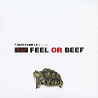 Ｓａｃ「 ｆｌａｓｈｓｏｕｎｄｓ　ｐｒｅｓｅｎｔｓ　ＦＥＥＬ　ＯＲ　ＢＥＥＦ」