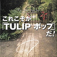 チューリップ「Ｔｈｅ Ｃｏｍｐｌｅｔｅ Ｓｉｎｇｌｅ Ｂｏｘ これこそが「ＴＵＬＩＰ ポップ」だ！」 | VIZL-221 |  4988002516575 | Shopping | Billboard JAPAN