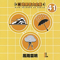 （効果音）「 新・効果音大全集　４１　風雨雷鳴」