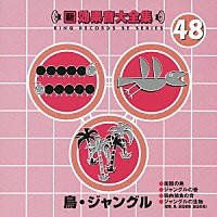 （効果音）「 新・効果音大全集　４８　鳥・ジャングル」