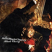 Ａｃｉｄ　Ｂｌａｃｋ　Ｃｈｅｒｒｙ「 Ｂｌａｃｋ　Ｃｈｅｒｒｙ」