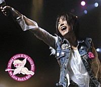 白井貴子＆ＴＨＥ　ＣＲＡＺＹ　ＢＯＹＳ「 白井貴子　＆　ＴＨＥ　ＣＲＡＺＹ　ＢＯＹＳ　２５ＴＨ　ＡＮＮＩＶＥＲＳＡＲＹ　～ＮＥＸＴ　ＧＡＴＥ　ＬＩＶＥ　２００６－２００７～」