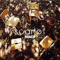 ＲＯＡＣＨ「 スカーレット」