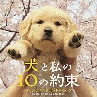 チョ・ソンウ「 犬と私の１０の約束　オリジナル　サウンドトラック」