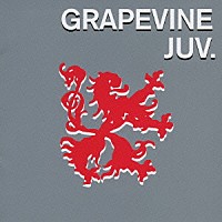 ＧＲＡＰＥＶＩＮＥ「 ジュブナイル」