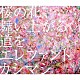 エレファントカシマシ「桜の花、舞い上がる道を」