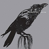 ａｂｏｕｔ　ｔｅｓｓ「 ｂｅａｕｔｉｆｕｌ」