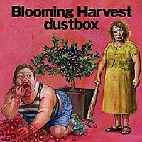 ｄｕｓｔｂｏｘ「Ｂｌｏｏｍｉｎｇ Ｈａｒｖｅｓｔ」 | FGCA-23 