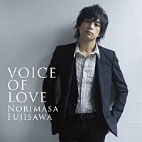 藤澤ノリマサ「 ＶＯＩＣＥ　ＯＦ　ＬＯＶＥ　～愛の力～」