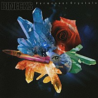 ＢＩＮＥＣＫＳ「 Ｐｅｒｍａｎｅｎｔ　Ｃｒｙｓｔａｌｓ」