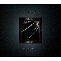 ＰＬＡＳＴＩＣＺＯＯＭＳ「 ＣＨＡＲＭ」