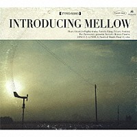 （オムニバス）「 ＩＮＴＲＯＤＵＣＩＮＧ　ＭＥＬＬＯＷ」