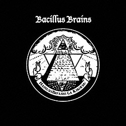 ＴＨＥ　ＢＡＣＩＬＬＵＳ　ＢＲＡＩＮＳ「祭り囃子がきこえる」