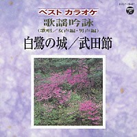 （伝統音楽）「 ベストカラオケ　歌謡吟詠　白鷺の城／武田節」