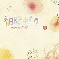 ｎａｎｏ．ＲＩＰＥ「 細胞キオク」