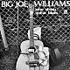 ビッグ・ジョー・ウィリアムス「９弦ギター・ブルース」
