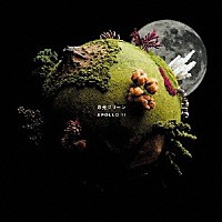 月光グリーン「ＡＰＯＬＬＯ １１」 | XQJM-1005 | 4571194700350 | Shopping | Billboard JAPAN